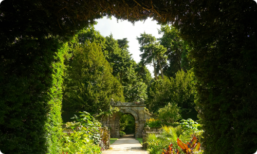 The girl in the garden